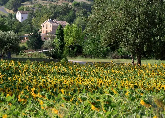 Agriturismo Agra Mater